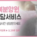 도그PC 이미지