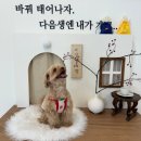 더누리개 이미지