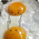 아사라 Daum카페