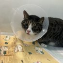 유니온동물병원 이미지