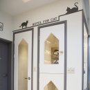 대전원신흥초등학교 이미지