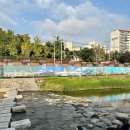 꿈꾸는 물고기 이미지