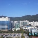 SK V1공인중개사사무소 이미지