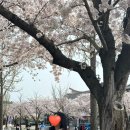 여행 코스 추천 2일차 보문단지, 숨은 명소 보문정...바다뷰 카페 히든씨, 경주단골식당 후기, 추천 여부
