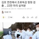 김포 연천에서 조류독감 항원 검출 … 22만 마리 살처분 이미지
