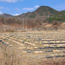 노은면사무소 이미지