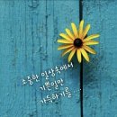 화 양 Daum카페