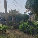 ALL DAY SAND | [제주/함덕] 함덕 카페 델문도, 해변 앞 완벽한 뷰 맛집 총 정리(feat : 해변가 테라스 카페)