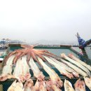 용궁시장(채소전) 이미지