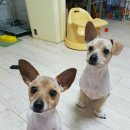 소자매네일 | [아주미소개♡] 10문10답 릴레이 바톤터취!!!!
