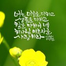 새날목장 이미지