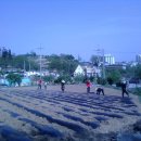 천평농장 이미지