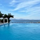 블루망고 이미지