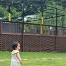 팔봉수피아 이미지