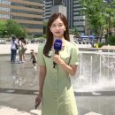 이른 한여름 더위 계속, 서울 31℃...곳곳 폭염특보 이미지