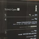 로카와 델피노1 이미지