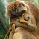 사랑은 아름다워라 이미지