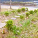 신원로1 이미지