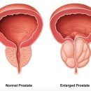 시원비뇨기과의원 이미지