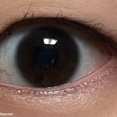 안경나라(금천현대)위드렌즈 이미지