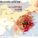 그래픽바이러스 이미지