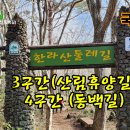 한라산둘레길 3구간(산림휴양길) 4구간(동백길) 17km 국가숲길 도보여행 이미지