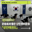 용인대 무향 태권도장 | 수원 성인태권도 유산소운동 추천｜겨루기 발차기로 체지방 감량 효과