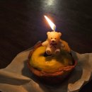 소쿠리제과 이미지