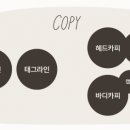 카피라인
