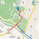 신논현역 1번출구 삼흥빌딩앞 횡단보도 | 에버랜드 캐스트 지원-면접