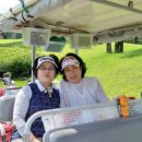 동원썬밸리 컨트리클럽 이미지