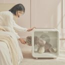 목욕하는고양이 | 캐치웰 펫드라이룸 후기: 강아지, 고양이 털 건조 끝판왕 드라이기