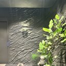 온유재한의원 | 광주 마사지샵 추천!《첨단 온유재스파마사지》내돈내산!