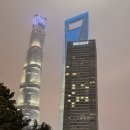 (주)석화동양호텔 | 동방명주뷰 온수풀이 있어 7개월 아기랑 머물기 좋았던 상하이 푸동 리젠트 호텔 후기