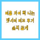 펫미팅 | 비용 차이 확 나는 펫시터 비교 후기 솔직 공개