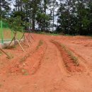 LCI수완유치원 이미지