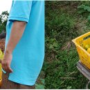 몬딱쉼터 이미지