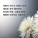 안동유도관 이미지