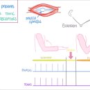 양촌한의원 이미지