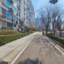 경기도 수원시 영통구 원천로 이미지