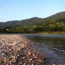 시골다슬기 이미지