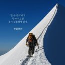 . Daum카페