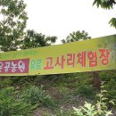 밤산농원 네이버블로그