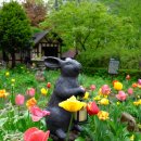 윤가이가 이미지