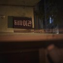 영비디오 이미지