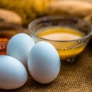 자유농장 이미지