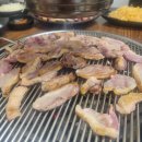 현지네 농원 이미지