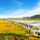 장성슈퍼 - 북구 경열로211번길 14 | 장성슈퍼