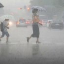 일산서울보청기 오창준보청기연구소 이미지