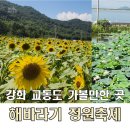 용수민물장어 | 강화도 교동 난정저수지 해바라기 정원 축제기간, 강화 아이랑 가볼만한곳